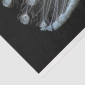 Decoupage van de witte staart tissuepapier (Detail)