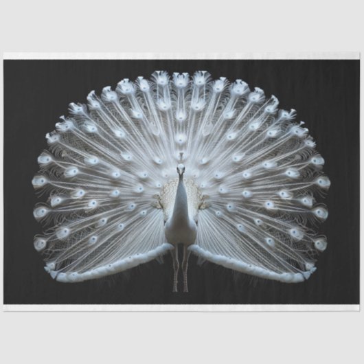 Decoupage van de witte staart tissuepapier (Voorkant)