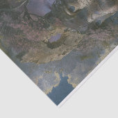 Decoupage van gezicht in klif tissuepapier (Detail)