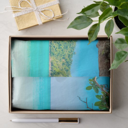 Decoupage van het tropische strand tissuepapier (Geschenk)