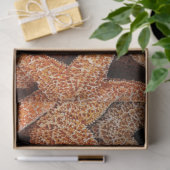 Decoupage van zeesterren fotografie tissuepapier (Geschenk)