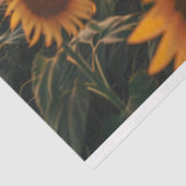 Decoupage van zonnebloemvelden tissuepapier (Detail)