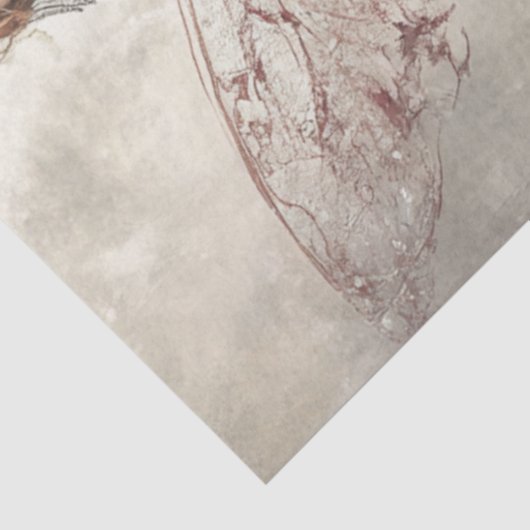 Decoupage Victoriaans fee ingewikkelde kantvleugel Tissuepapier (Detail)