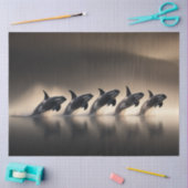 Decoupage vijf orka's gesynchroniseerd display oce tissuepapier (Craft)