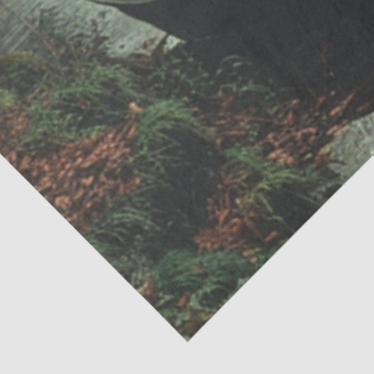 Decoupage Vist bootreflecties op het water Tissuepapier (Detail)