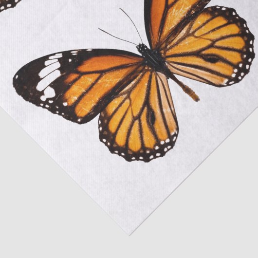DECOUPAGE WEEFSELPAPIER : MAANDARCH BUTTERFLES TISSUEPAPIER (Detail)