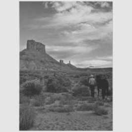 Decoupage Western Solitude Lisa Chappell Tissuepapier