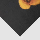 Decoupage Whimsical Coy's kleurrijke hoektanden Tissuepapier (Detail)