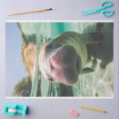 Decoupage Whimsical Ocean Noisy Manatee Tissuepapier (Craft)