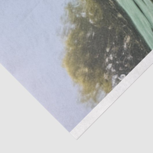 Decoupage Whimsical Ocean Noisy Manatee Tissuepapier (Detail)