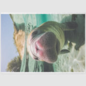 Decoupage Whimsical Ocean Noisy Manatee Tissuepapier (Voorkant)