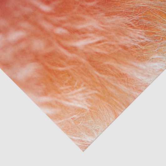 Decoupage Whimsical Pink Hairdo Standaard Poedel Tissuepapier (Detail)