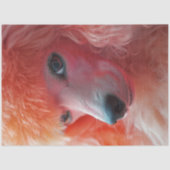 Decoupage Whimsical Pink Hairdo Standaard Poedel Tissuepapier (Voorkant)