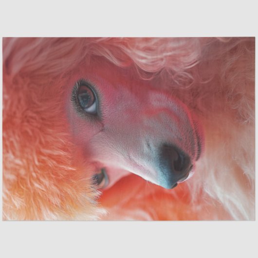 Decoupage Whimsical Pink Hairdo Standaard Poedel Tissuepapier (Voorkant)