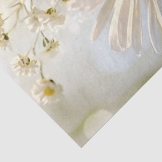 Decoupage White Daisies Natuurlijke omgeving Tissuepapier (Detail)