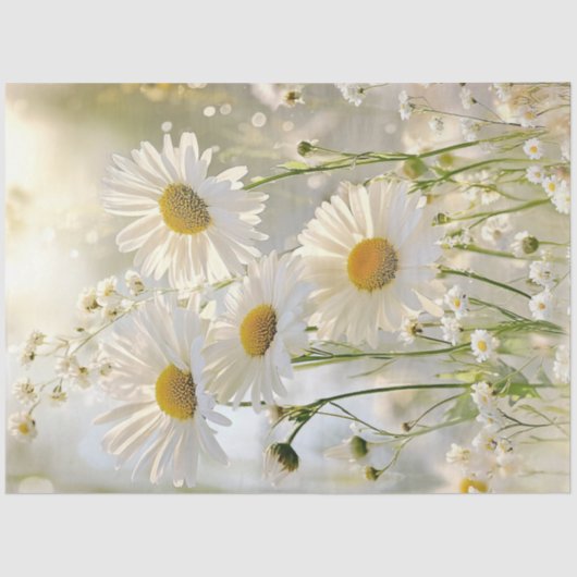 Decoupage White Daisies Natuurlijke omgeving Tissuepapier (Voorkant)