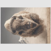 Decoupage Wild Bison Dustborne Charge Desert Tissuepapier (Voorkant)