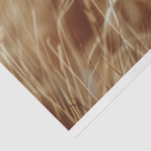 Decoupage witte majestueuze leeuw tissuepapier (Detail)