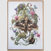 Decoupage Woodland Moth Illustration Tissuepapier (Voorkant)