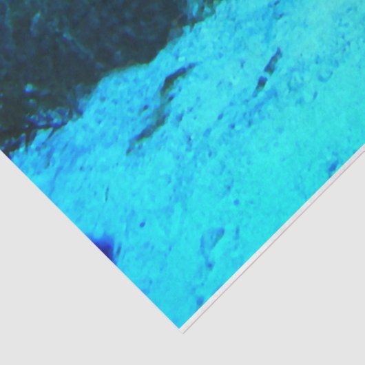 Decoupage Zee Schildpadweefsel Papier (Detail)