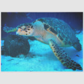 Decoupage Zee Schildpadweefsel Papier (Voorkant)