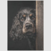 Decoupage Zwarte Bruine Cocker Spaniel Sadie Tissuepapier (Voorkant)