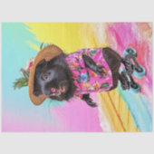 Decoupage zwarte otter schaatsen tropische kleuren tissuepapier (Voorkant)