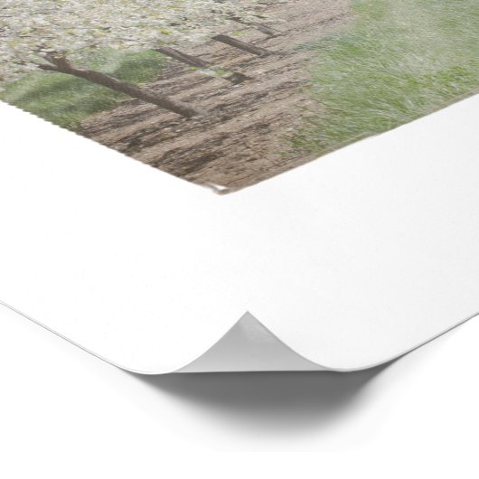 Dedoor County Cherry Trio Poster (Hoek)