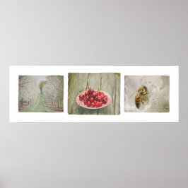 Dedoor County Cherry Trio Poster
