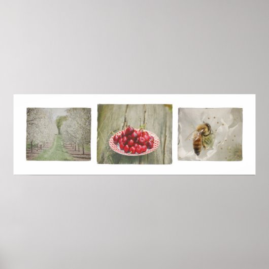 Dedoor County Cherry Trio Poster (Voorkant)