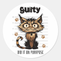 Deed het expres - grappige kat