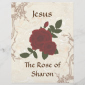 Deel 2 Eén Roos staat alleen voor persoonlijk Brie (Achterkant)