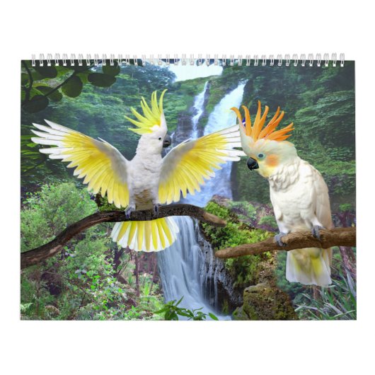 DEEL COURTSHIPS KALENDER (Hoes)