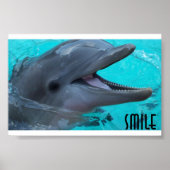 Deel een Dolphin's Smile Poster (Voorkant)