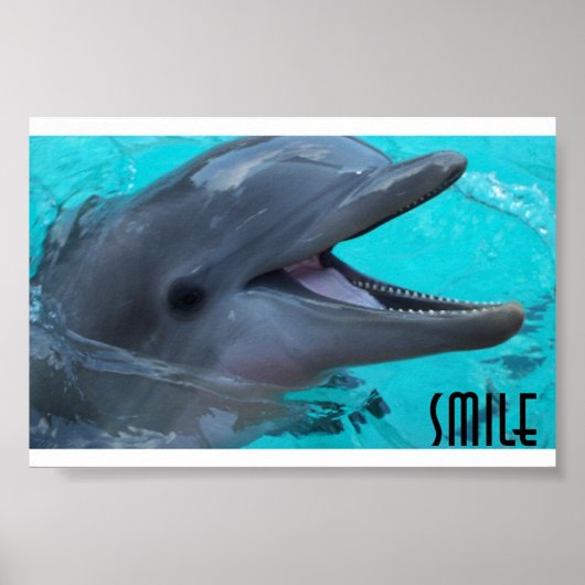 Deel een Dolphin's Smile Poster (Voorkant)