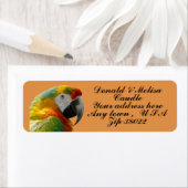 DEEL ETIKET (Insitu)