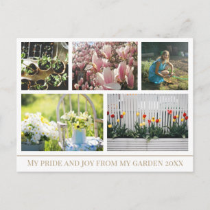 Deel foto's van de schoonheid van uw tuin Briefkaa Briefkaart