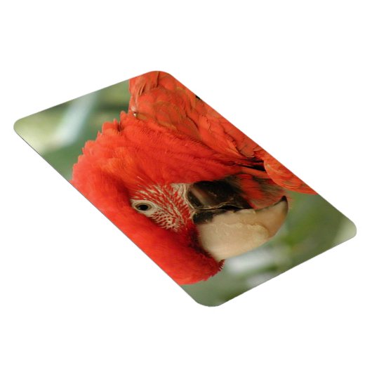 DEEL MAGNEET (Rechterzijde)