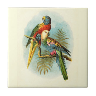 DEEL TROPISCHE VOGELS 10 TEGELTJE