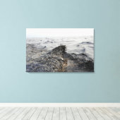 Deel van een olievlek in de Golf van Mexico Canvas Afdruk (Insitu (Houten vloer))