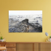 Deel van een olievlek in de Golf van Mexico Canvas Afdruk (Insitu (Woonkamer))
