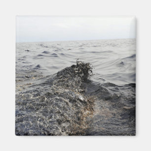 Deel van een olievlek in de Golf van Mexico Magneet