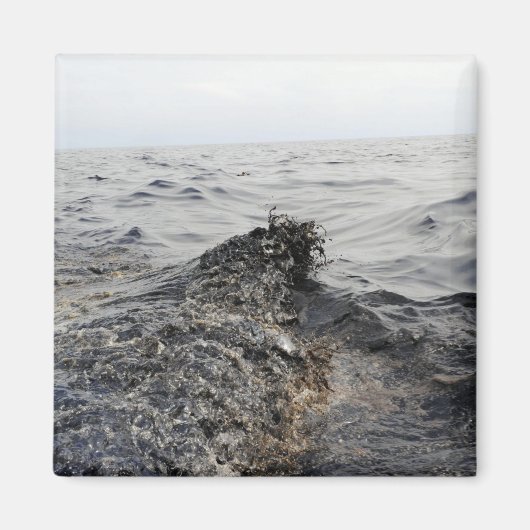 Deel van een olievlek in de Golf van Mexico Magneet (Voorkant)