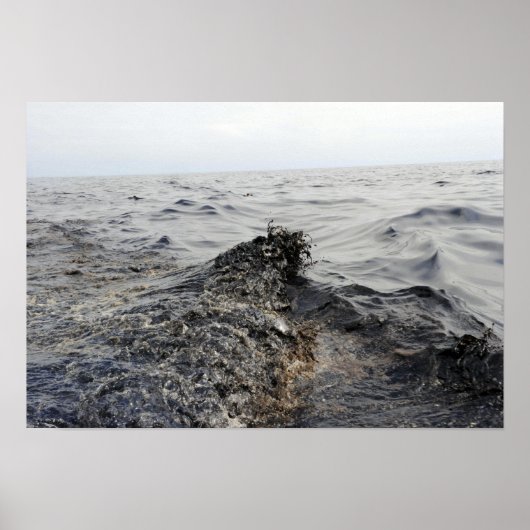 Deel van een olievlek in de Golf van Mexico Poster (Voorkant)