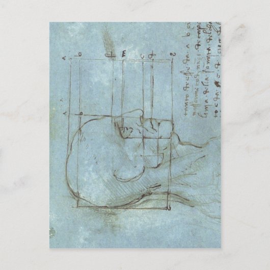 Deel van het hoofd 1488 1489 ) is een tekening b briefkaart (Voorkant)