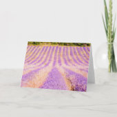 Deelgebied van de Lavender Provence Frankrijk blan Kaart (Voorkant)