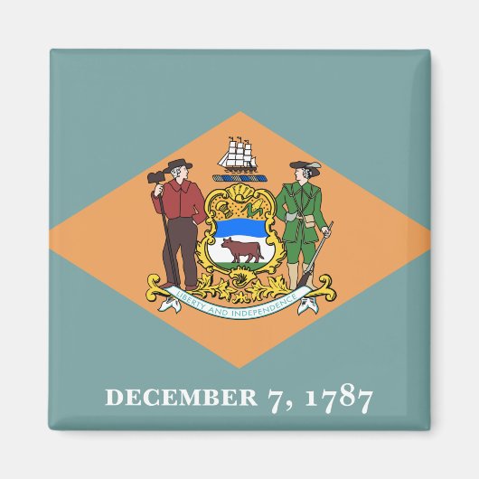 Deelstaat Delaware Flag Magneet (Voorkant)