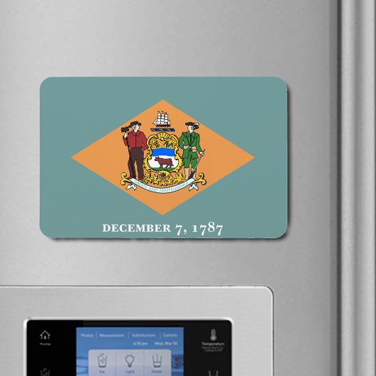 Deelstaat Delaware Flag Magneet