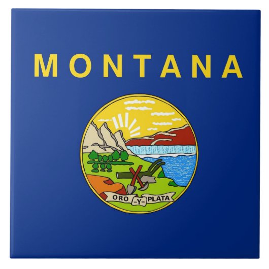 Deelstaat Montana Vlag Tile Tegeltje (Voorkant)
