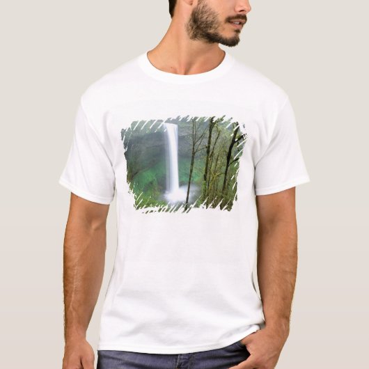 Deelstaat Noord-Amerika, VS, Oregon, Silver Herfst T-shirt (Voorkant)